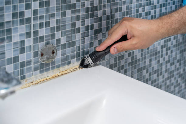 Best Basement Mold Remediation in Wilson, AR